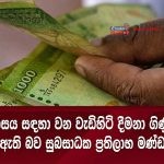 ලියාපදිංචි නොකළ වාහන ලීසිං පහසුකම් සීමා කෙරේ