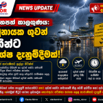 ඩොලරයේ මිල එකවරම පහළට! වාණිජ බැංකුවල අද තත්ත්වය මෙන්න